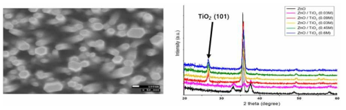 ZnO/TiO2 코어쉘의 SEM 및 XRD 분석