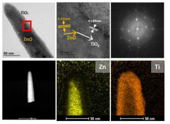 ZnO/TiO2 코어쉘의 TEM 및 TEM EDX 분석