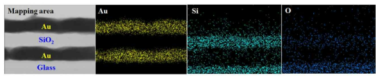 Au/SiO2/Au nanodisk 메타아톰의 EDS 및 원소지도