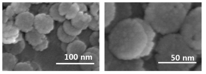 50 nm 크기를 갖는 Au(7nm)/Al2O3(7nm)/Au (7nm)의 나노디스크 메타아톰의 SEM사진