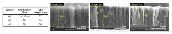 양극산화기법 진행시간에 따른 TiO2 나노튜브 SEM 사진 : (a) 1시간30분, (b) 3시간, (c) 6시간