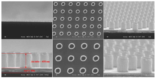 Secondary sputtering 방식을 통해 제작된 Au tube의 SEM 이미지