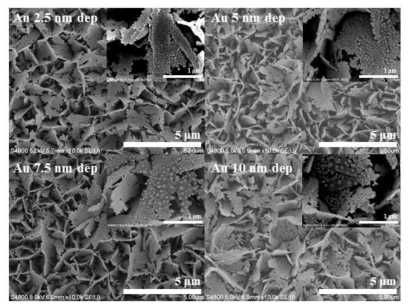 다양한 두께의 금 증착 및 열처리를 통한 다양한 크기의 금 나노 입자 형성