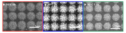 ZnO 수열합성 진행 시 온도에 따른 성장 구조 분석을 위한 전자주사현미경 사진