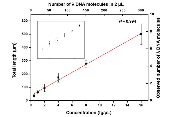 새롭게 설계한 DNA 미세유체장치를 이용하여 λ DNA를 정량한 검정곡선 (왼쪽부터 0.5 fg/μL, 1 fg/μL, 2 fg/μL, 4 fg/μL, 8 fg/μL, 16 fg/μL )