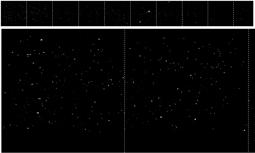 이미지 자동 수집 소프트웨어를 사용해서 얻은 M13mp18 DNA 이미지. 9장의 이미지(위)와 그 중 첫 번째, 두 번째를 확대한 이미지(아래)