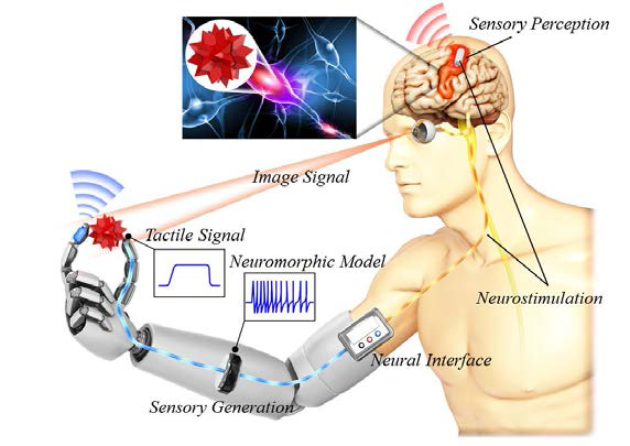 초감각 센서 및 신경 인터페이스를 통한 감각 인지 도식