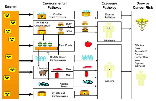 RESRAD 코드의 이동 및 피폭선량 평가 경로
