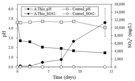 황산화균 접종 유무에 따른 배양액의 pH, SO42- 변화
