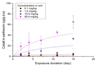 Co로 오염된 인위오염토양에 노출된 Eisenia Fetida의 노출기간에 따른 체내 Co 축적 변화