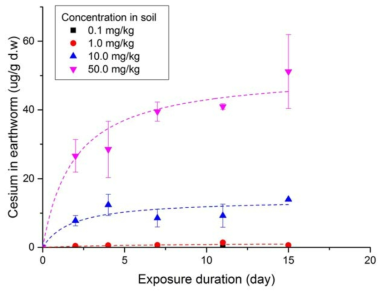 Cs으로 오염된 인위오염토양에 노출된 Eisenia Fetida의 노출기간에 따른 체내 Cs 축적 변화