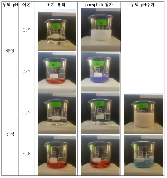 수용액의 pH 조건에 따른 공침 반응 사전 실험 결과