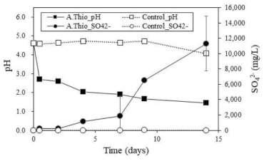 황산화균 접종 유무에 따른 배양액의 pH, SO42- 변화