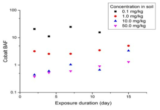 Co로 오염된 인위오염토양에 노출된 Eisenia Fetida의 노출기간에 따른 생물농축계수의 변화