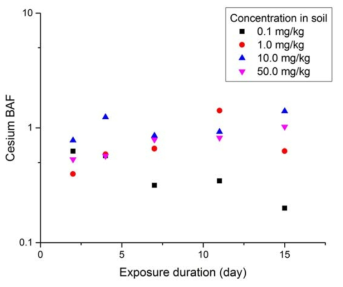 Cs으로 오염된 인위오염토양에 노출된 Eisenia Fetida의 노출기간에 따른 생물농축계수의 변화