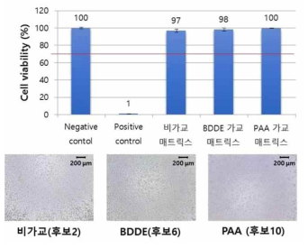 창상소재용 매트릭스 세포독성시험 결과