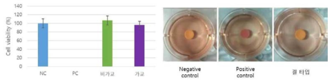 세포독성시험결과