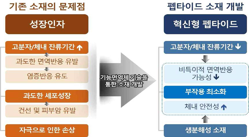 기존 피부재생소재의 문제점을 해결한 혁신형 펩타이드 소재 개발의 필요성