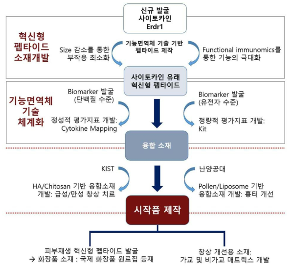 1단계 연구개발을 위한 추진 체계