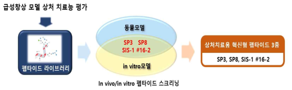 상처치료용 혁신형 펩타이드3종 개발