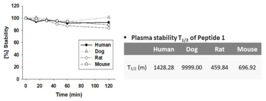 펩타이드 #1의 다양한 종의 혈청 내 안정성(plasma stability) 평가