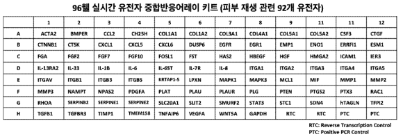 혁신형 펩타이드의 상처 치료 효과를 탐색하기 위해 제작된 96웰-실시간 유전자 중합반 응어레이키트의 92개의 유전자 목록