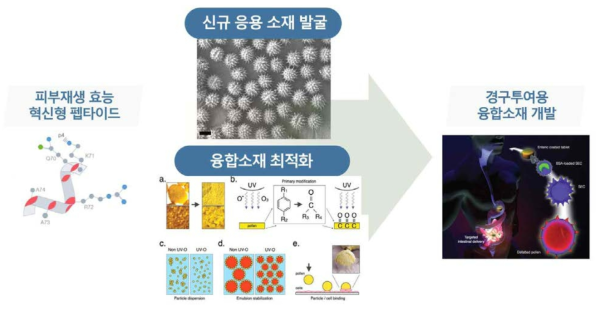 화분 외피 기반 융합소재 개발 전략