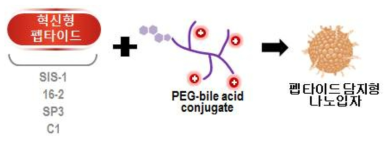 담즙산이 도입된 고분자 나노입자의 모식도