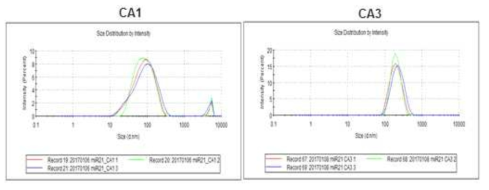 Cholanic acid가 도입된 PEI 나노입자를 이용한 miR21 복합체의 입자 분포도
