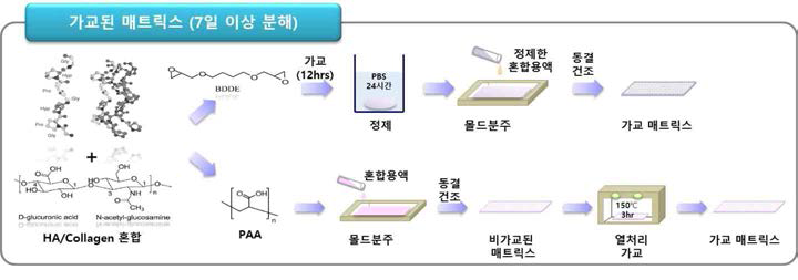 가교 매트릭스 제조방법