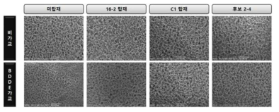 매트릭스 표면 SEM 사진(50배 확대)