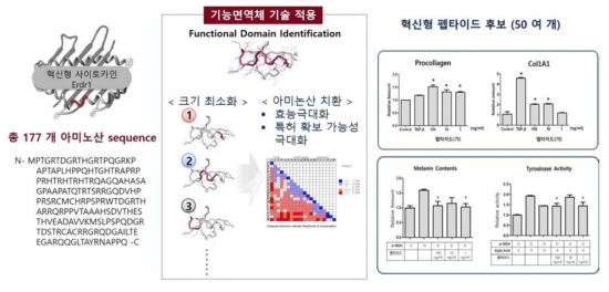 혁신형 펩타이드 후보 도출