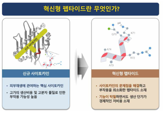 혁신형 펩타이드란 무엇인가?