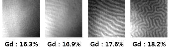 Gd atomic %에 따른 자구 변화