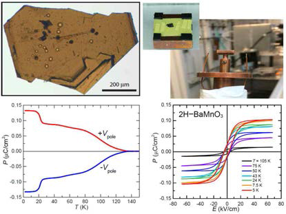 합성된 단결정의 온도변화 실험 결과. 125 K에서 구조 상전이를 동반하면서 전기분극이 형성 됨