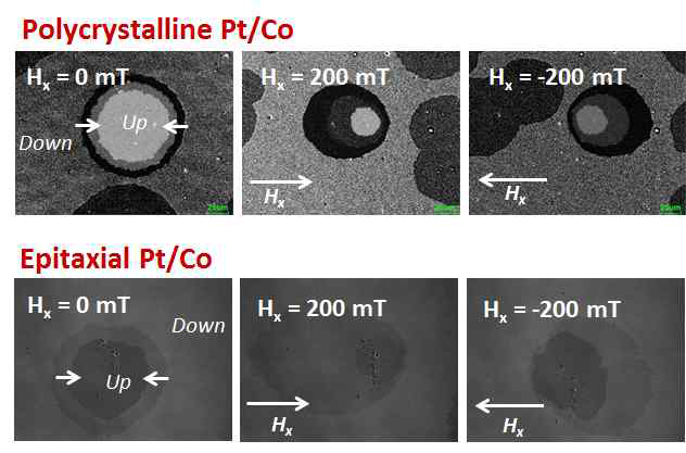 Pt/Co/MgO 구조에서 수평과 수직자 기장 인가시 자구구조의 비대칭 팽창