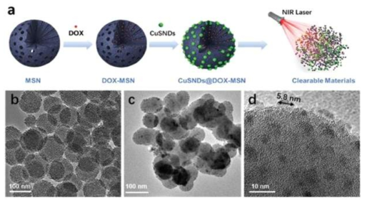 근적외선 감응 광역동치료에 활용 가능한 5nm의 황화구리 입자가 도입된 MSN입자 모식도 및 TEM 이미지 (Adv. Funct. Mater. 2018, 28, 1704634)