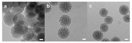 다공성 실리카 나노 입자의 TEM 이미지 (a;CMS-A75, b;CMS-B75, c;CMS-C50)