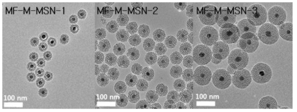 자성 나노입자가 도입된 다기능성 다공성 나노입자 (Angewandte Chemie International Edition, 2008, 47, 44, 8348-8441)