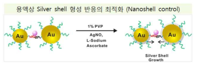 DNA 코팅을 이용해 금 나노 복합체를 구현한 모식도