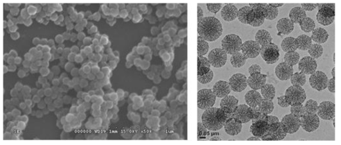 티타니아를 코팅한 다공성 실리카 나노 입자의 SEM / TEM 이미지