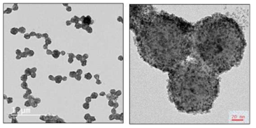 이중기공 실리카 나노입자에 다량의 치료용 나노입자가 적용된 투과전자현미경 이미지