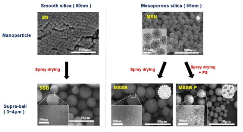 비다공성 실리카 나노 입자(SN)와 다공성 실리카 나노 입자(MSN)를 이용하여 분무건조법을 통해 형성한 비다공성 실리카 수프라 볼(SSB)과 다공성 실리카 수프라 볼 (MSSB) 및 폴리스티렌 나노 입자의 도입으로 표면적이 증대된 실리카 수프라 볼(MSSB-P) 의 SEM 이미지