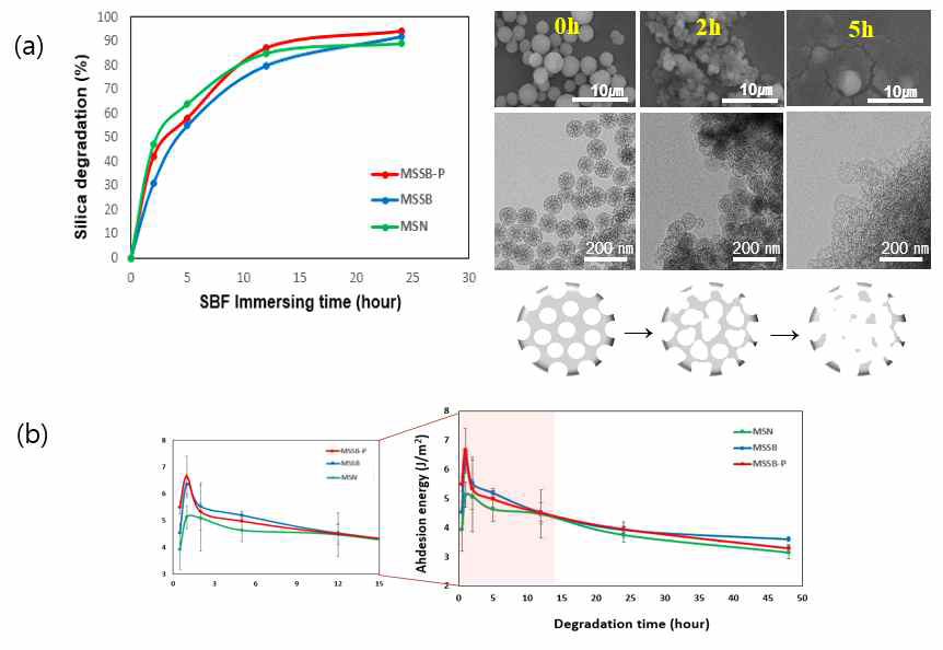 시간에 따른 다공성 실리카 수프라 볼 및 나노 입자의 (a) 분해 거동과 (b) 접착력 변화 거동