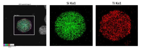 티타니아를 코팅한 다공성 실리카 나노입자의 EDS 분석 이미지