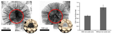 실리카나노입자의 산화철 코어입자를 제거 전후 TEM 이미지와 동공 유무에 따른 실리카나노입자의 Ovalbumin (OVA) 담지양 차이