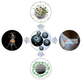 다공성 나노입자의 다양한 분야의 활용 모식도 (Biomedicine &Pharmacotherapy 109 (2019) 1100–1111)