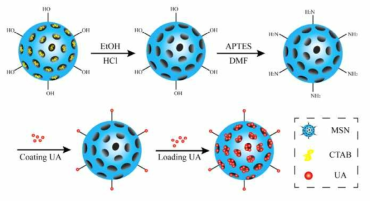 표면개질이 용이한 다공성 실리카 입자 치료용 약물 도입 모식도 ( European Journal of Pharmaceutical Sciences 96 (2017) 456–463)