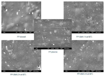 반응시간에 따른 GMA-grafted PP bio-well의 SEM 사진