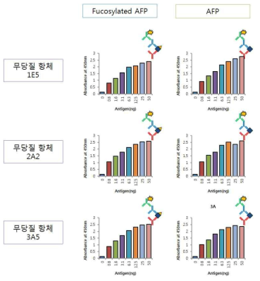 무당질항체를 이용한 fucosylated AFP 를 확인